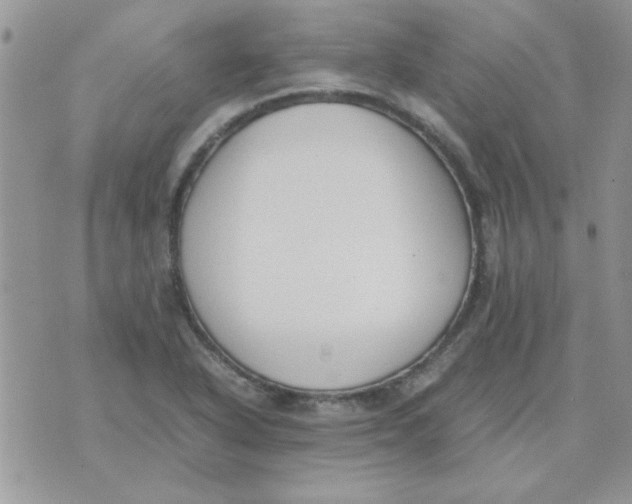 X0000074331318200609152047