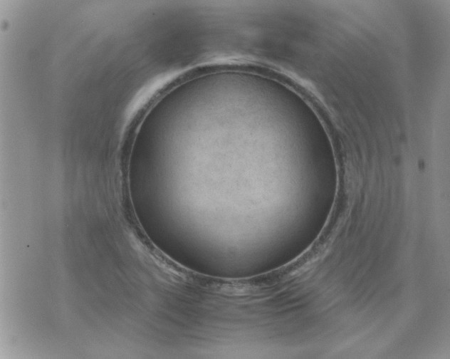 X0000074331319200609152047