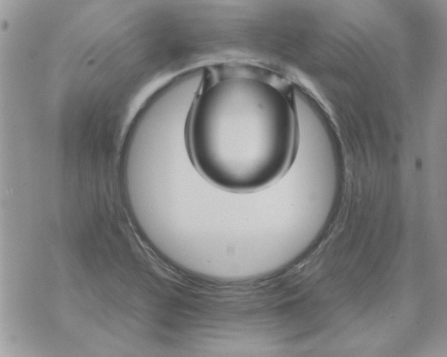 X0000074331320200609152047