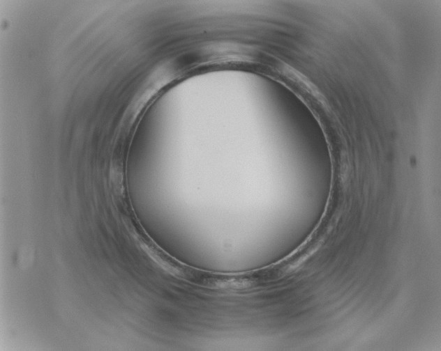 X0000074331321200609152047