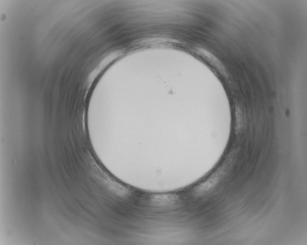 X0000074331322200609152047