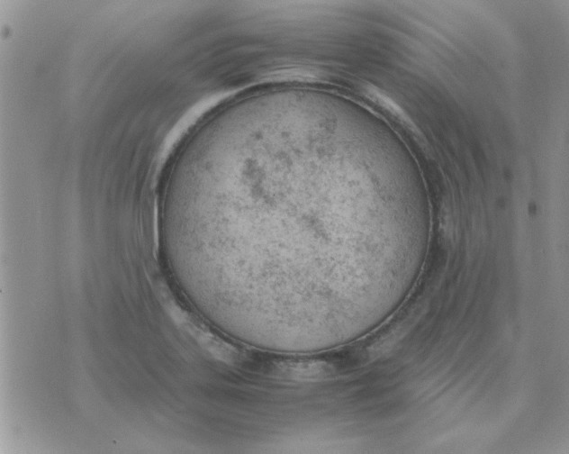 X0000074331323200609152047