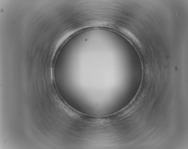 X0000074331324200609152047