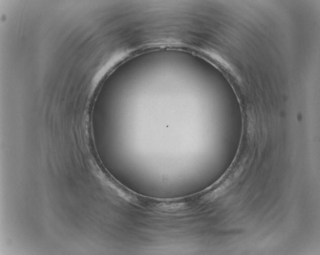 X0000074331325200609152047