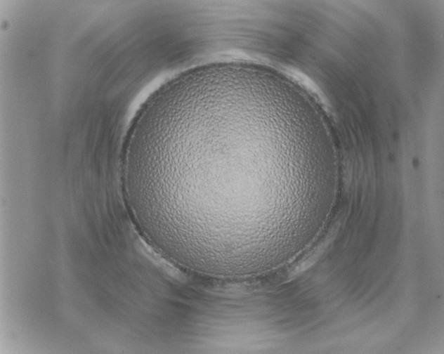 X0000074331326200609152047