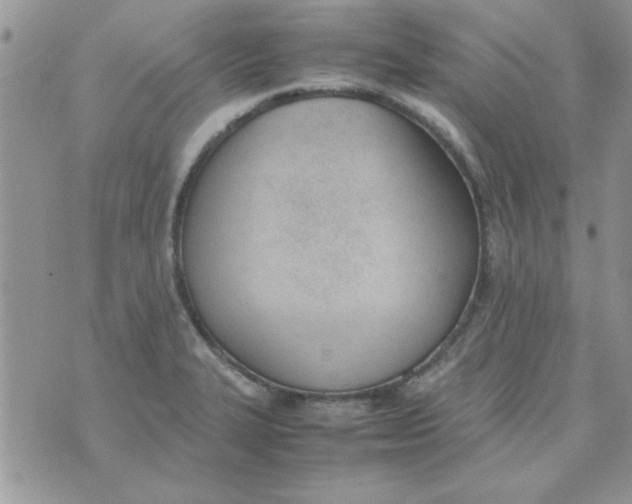 X0000074331327200609152047