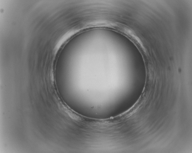 X0000074331328200609152047