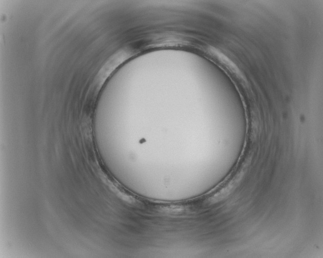 X0000074331329200609152047