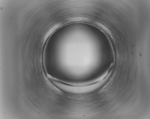 X0000074331330200609152047