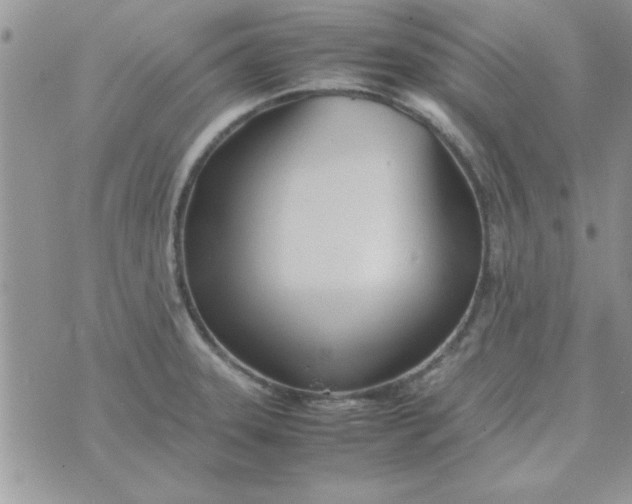 X0000074331331200609152047