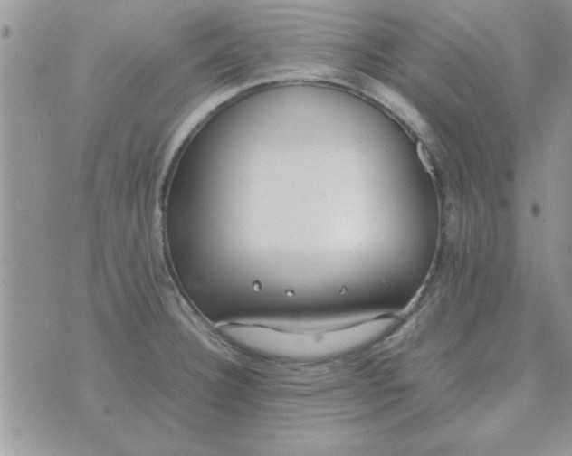 X0000074331332200609152047