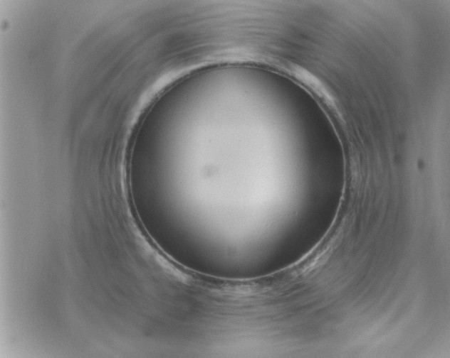 X0000074331334200609152047