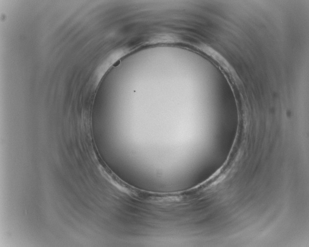 X0000074331337200609152047