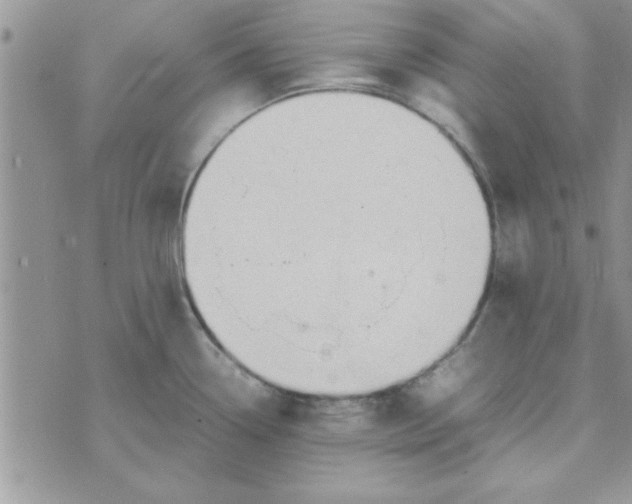 X0000074331338200609152047