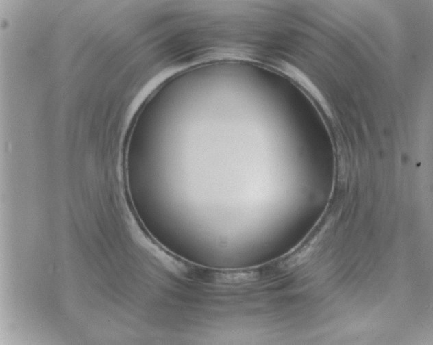 X0000074331339200609152047