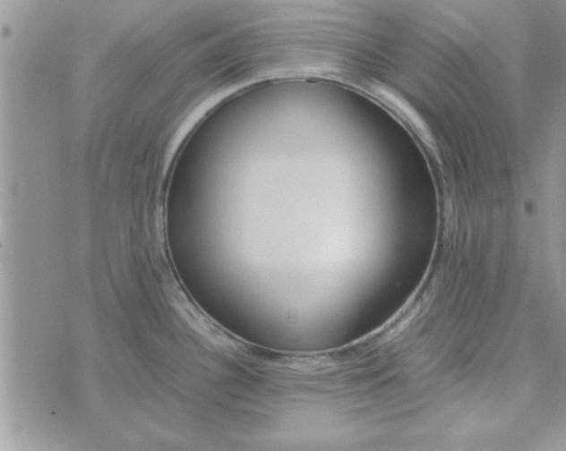 X0000074331340200609152047