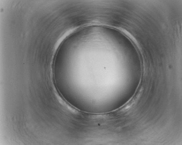 X0000074331341200609152047