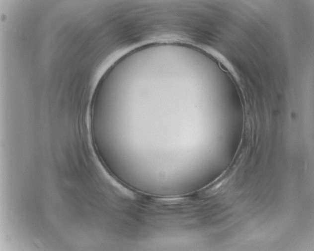 X0000074331343200609152047