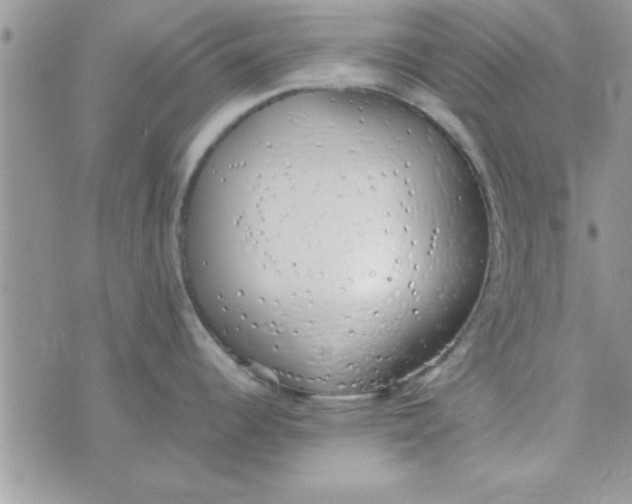 X0000074331344200609152047