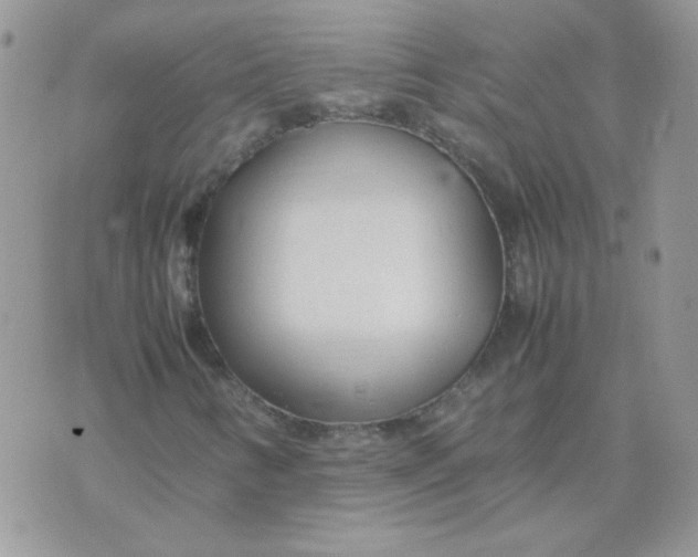 X0000074331346200609152047