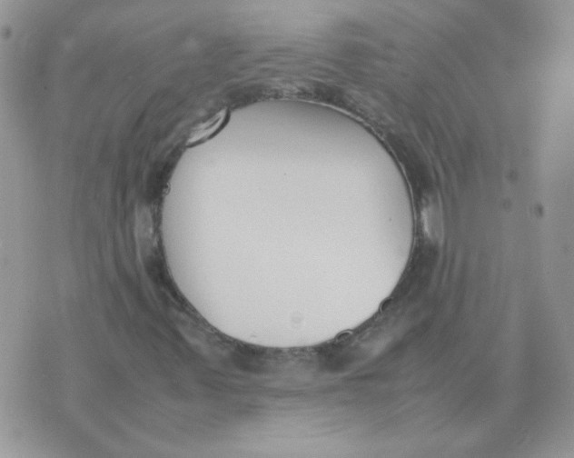 X0000074331347200609152047