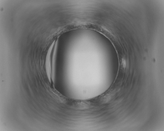 X0000074331348200609152047