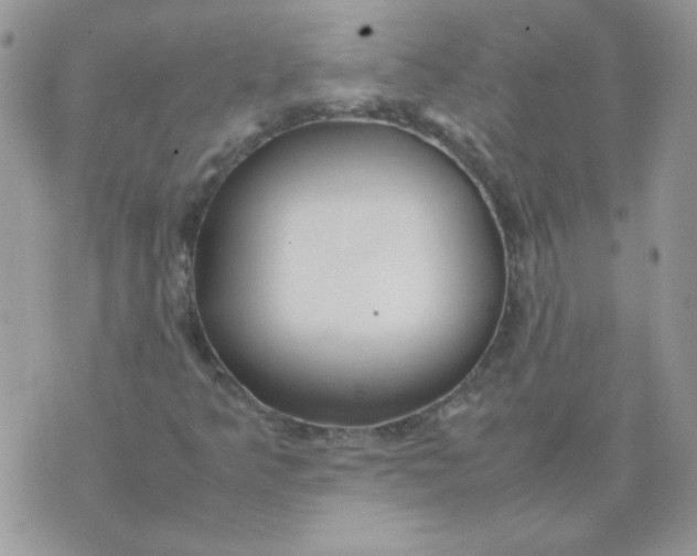 X0000074331349200609152047