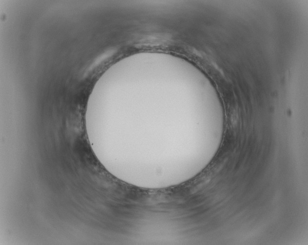 X0000074331350200609152047