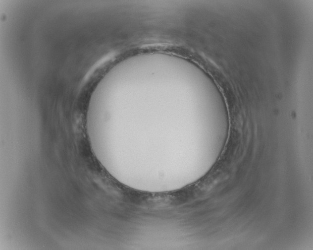 X0000074331351200609152047