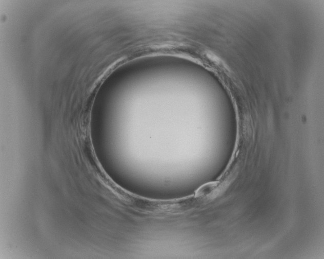 X0000074331353200609152046