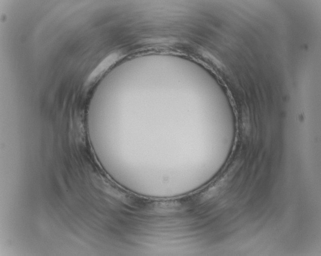 X0000074331354200609152046