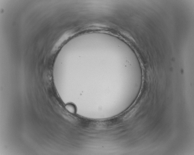 X0000074331355200609152046