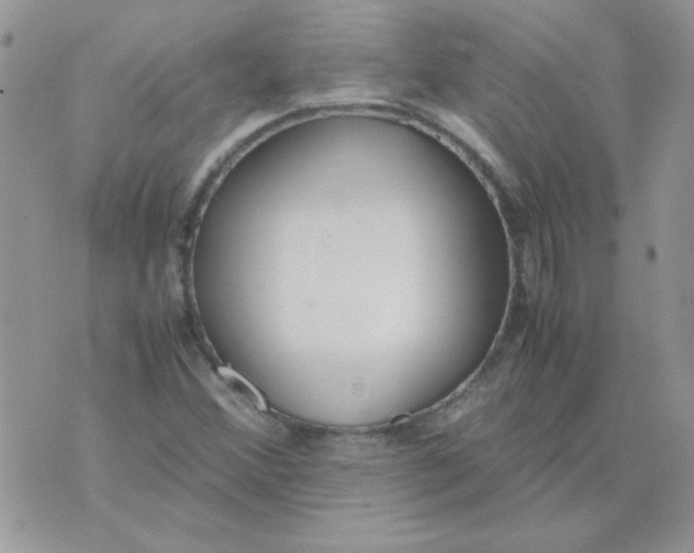 X0000074331356200609152046