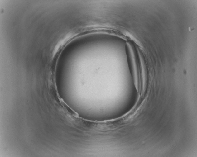 X0000074331357200609152046