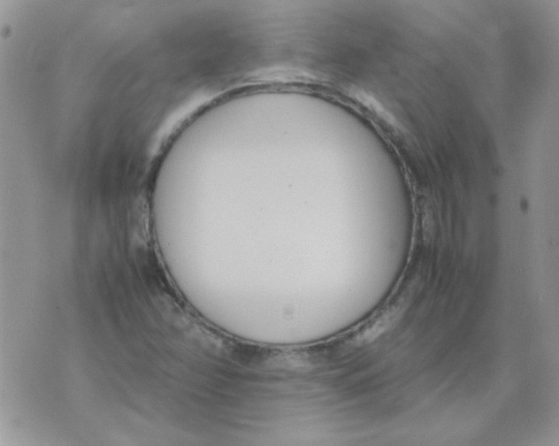 X0000074331358200609152046