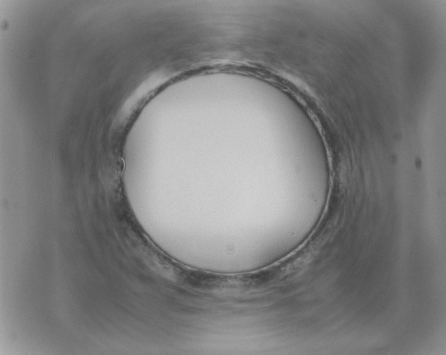 X0000074331359200609152046