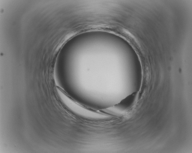 X0000074331361200609152046