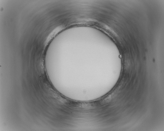 X0000074331362200609152046