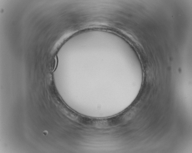 X0000074331363200609152046