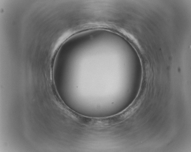 X0000074331365200609152046