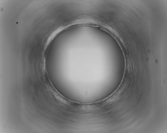 X0000074331366200609152046