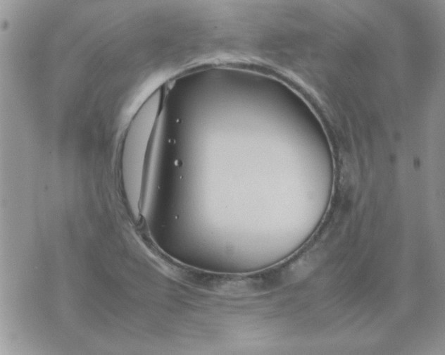 X0000074331367200609152046