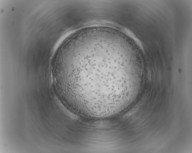 X0000074331368200609152046