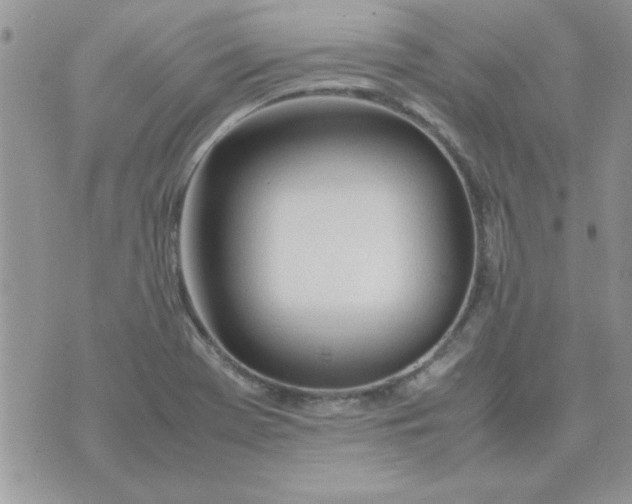 X0000074331369200609152046