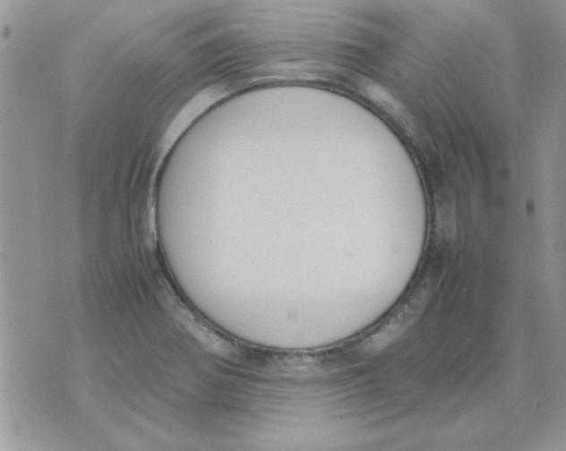 X0000074331370200609152046