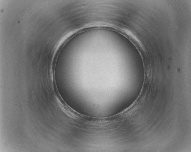 X0000074331372200609152046