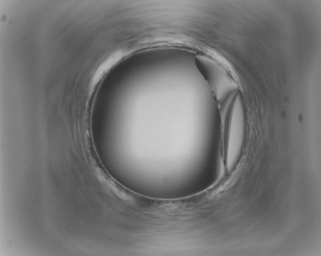 X0000074331373200609152046