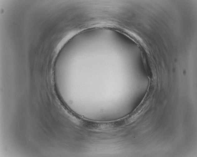 X0000074331375200609152046