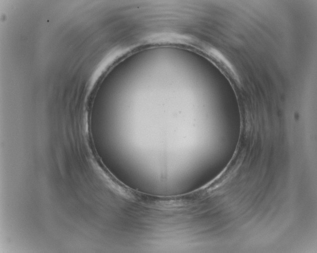 X0000074331376200609152046