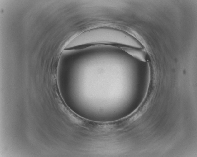 X0000074331377200609152046